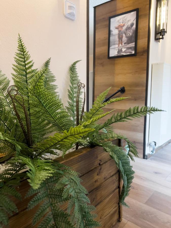 Fewo Ottobeurens Schmuckstueck: Gemuetlich-Stylische Wohnung Exteriör bild